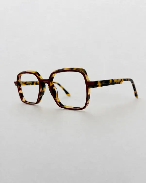 Lunettes Pierre Eyewear ZORO T.55 coloris Ecaille Bordeaux