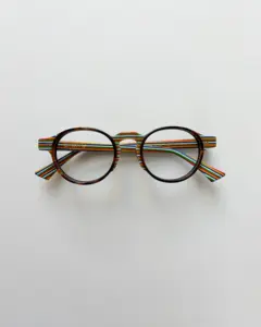 Tortoise Rainbow