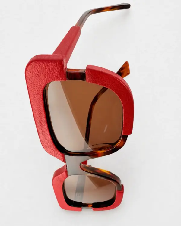 Lunettes Pierre Eyewear LEATHER 1 coloris Ecaille