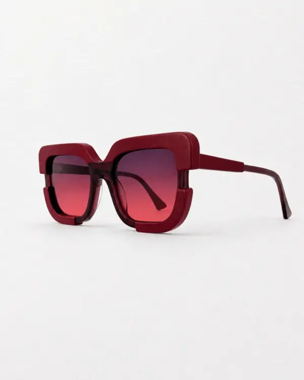 Lunettes Pierre Eyewear LEATHER 1 coloris Purple