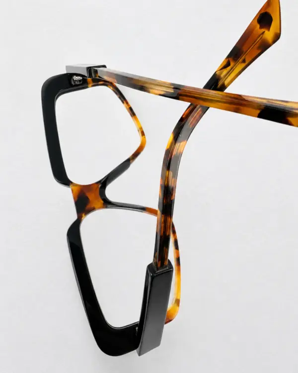 Lunettes Pierre Eyewear LUCIEN coloris Black Ecaille