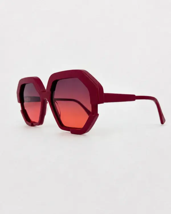 Lunettes Pierre Eyewear LEATHER 7 coloris Purple